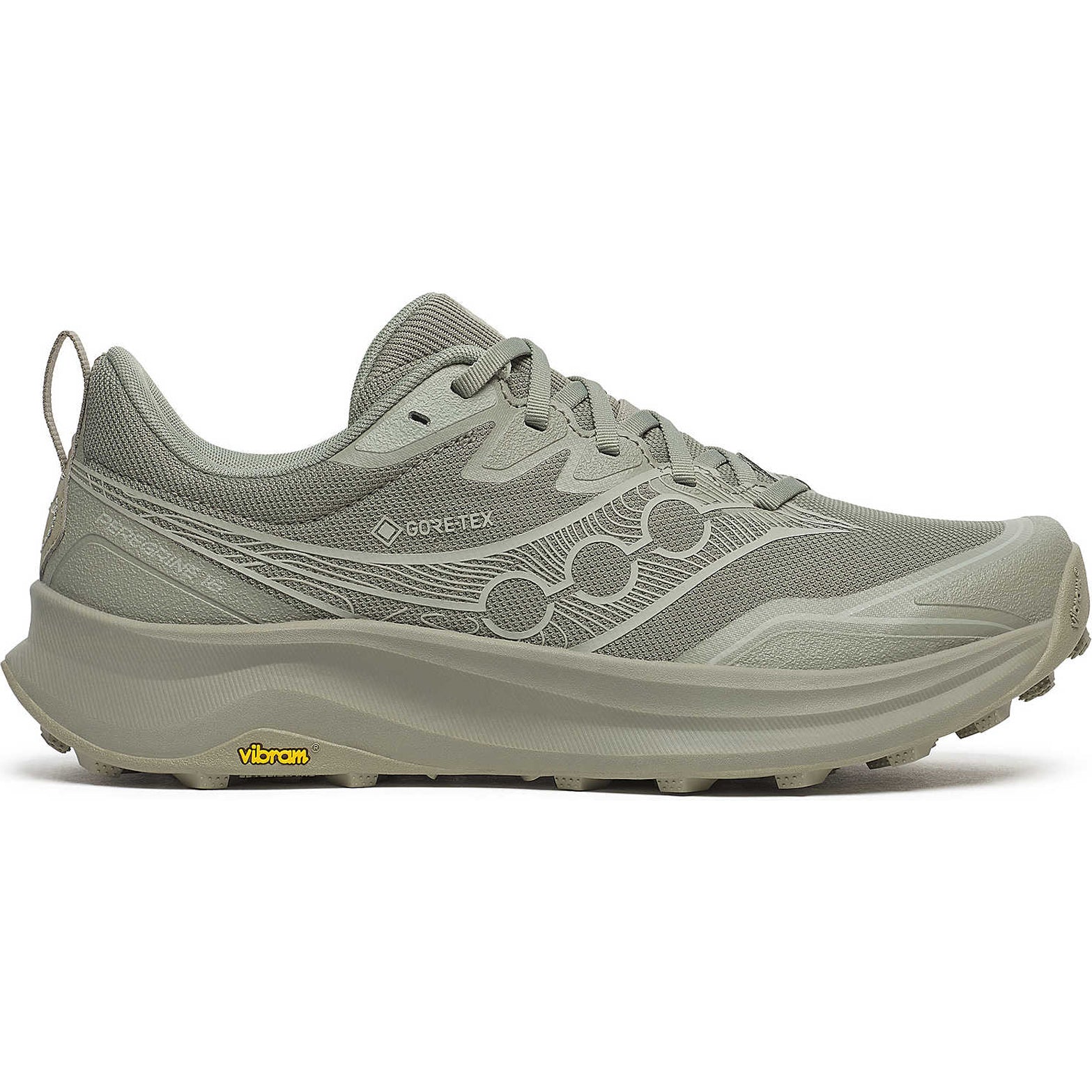 Men's Peregrine 16 GORE-TEX Trail Running Shoes Laurel / Sage - Achilles Heel