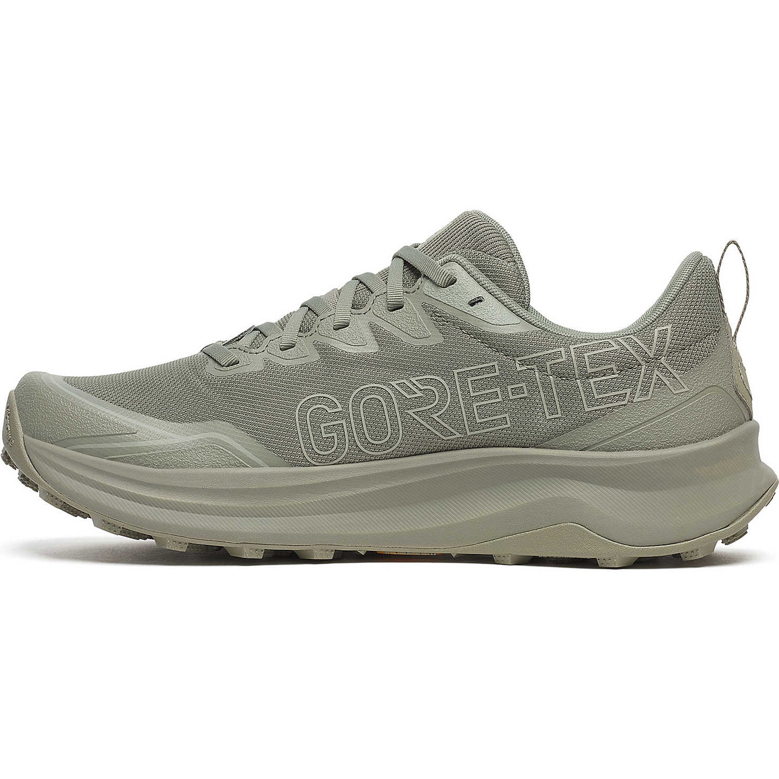 Men's Peregrine 16 GORE-TEX Trail Running Shoes Laurel / Sage - Achilles Heel
