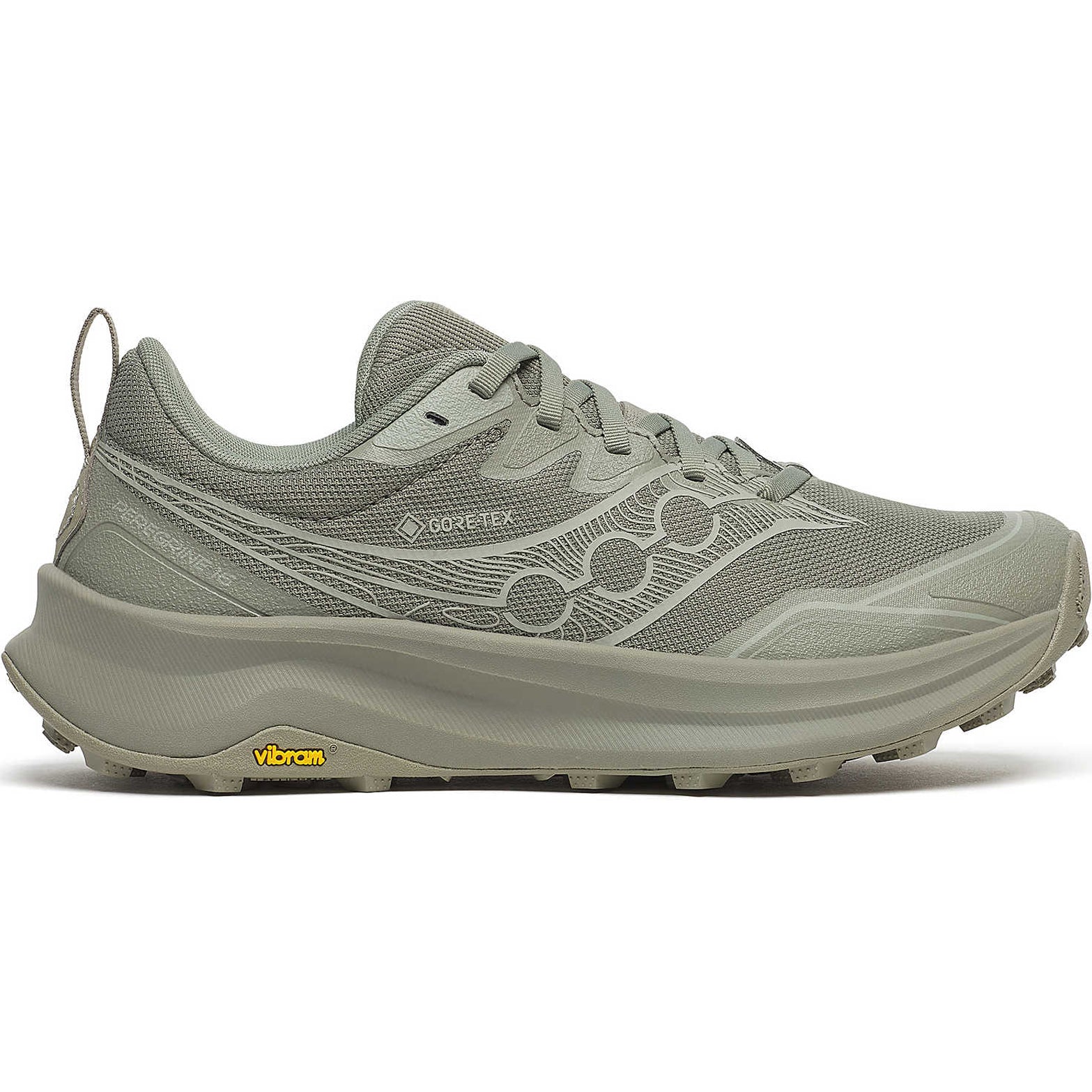 Women's Peregrine 16 GORE-TEX Trail Running Shoes Laurel / Sage - Achilles Heel