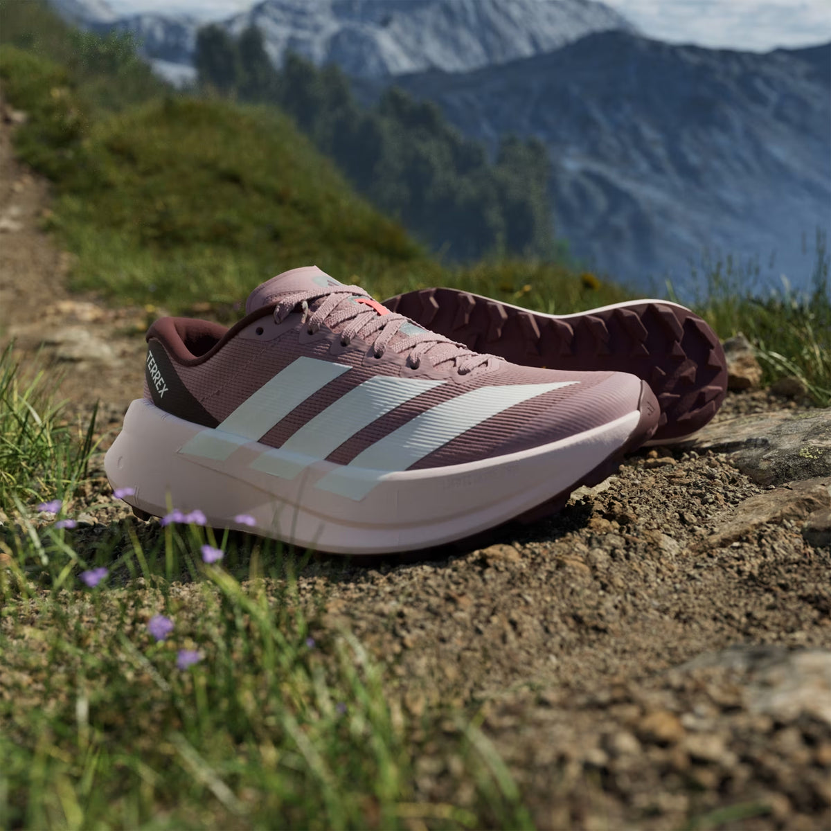 Women's adidas Terrex Agravic SL Trail Running Shoes Magic Mauve Cloud White Maroon angled side view of pair showing LIGHTSTRIKE PRO cushioning with Continental rubber outsole and TPU reinforced mesh upper for responsive mixed terrain trail running
