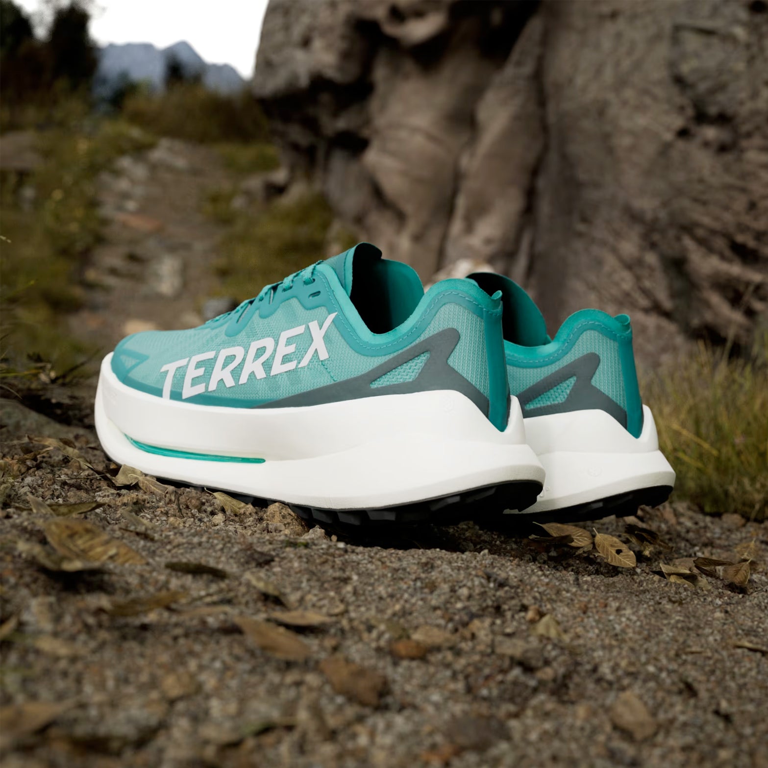 Men's Terrex Agravic Speed Speed Ultra Trail Running Shoes Pure Teal / Grey One / Aurora Ivy - Achilles Heel