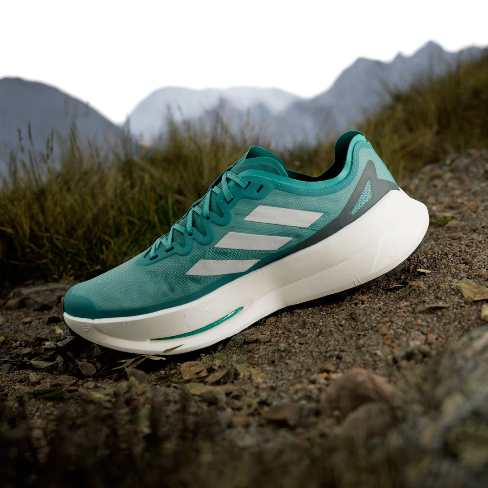 Men's Terrex Agravic Speed Speed Ultra Trail Running Shoes Pure Teal / Grey One / Aurora Ivy - Achilles Heel