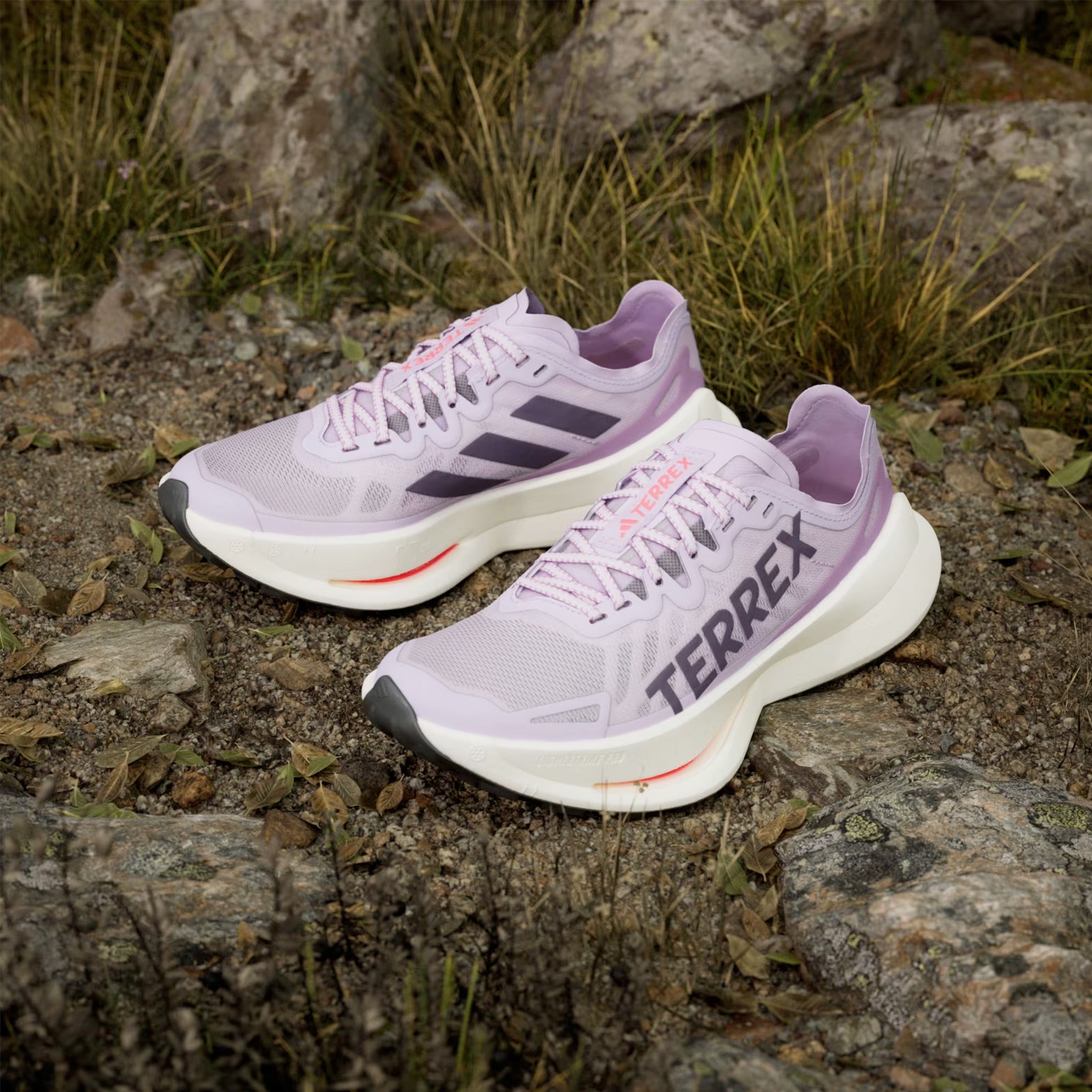 Women's Terrex Agravic Speed Ultra Trail Running Shoes Powder Plum / Aurora Plum / Lucid Red - Achilles Heel