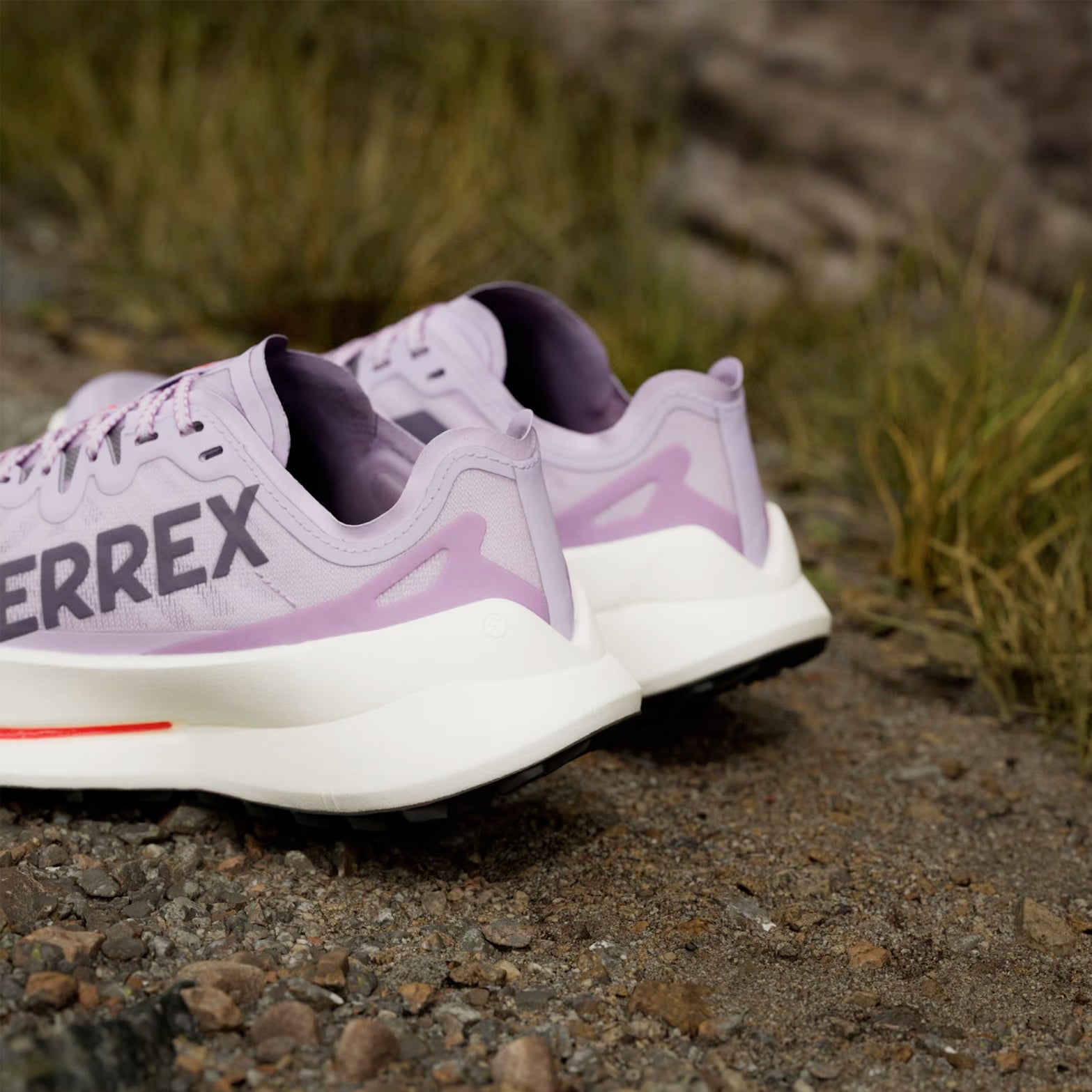 Women's Terrex Agravic Speed Ultra Trail Running Shoes Powder Plum / Aurora Plum / Lucid Red - Achilles Heel