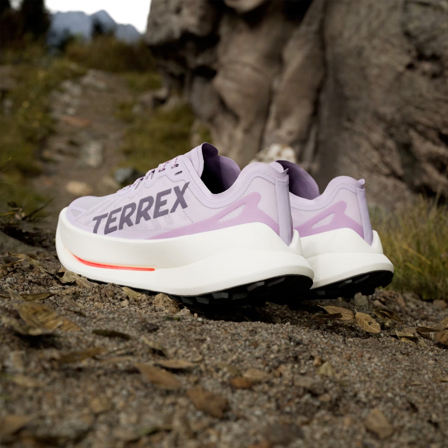 Women's Terrex Agravic Speed Ultra Trail Running Shoes Powder Plum / Aurora Plum / Lucid Red - Achilles Heel