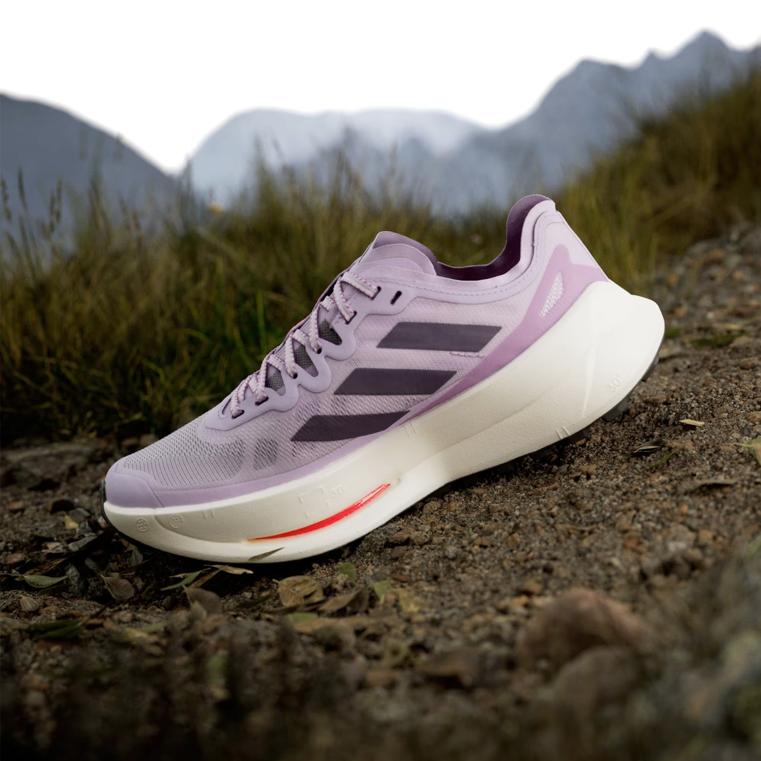 Women's Terrex Agravic Speed Ultra Trail Running Shoes Powder Plum / Aurora Plum / Lucid Red - Achilles Heel