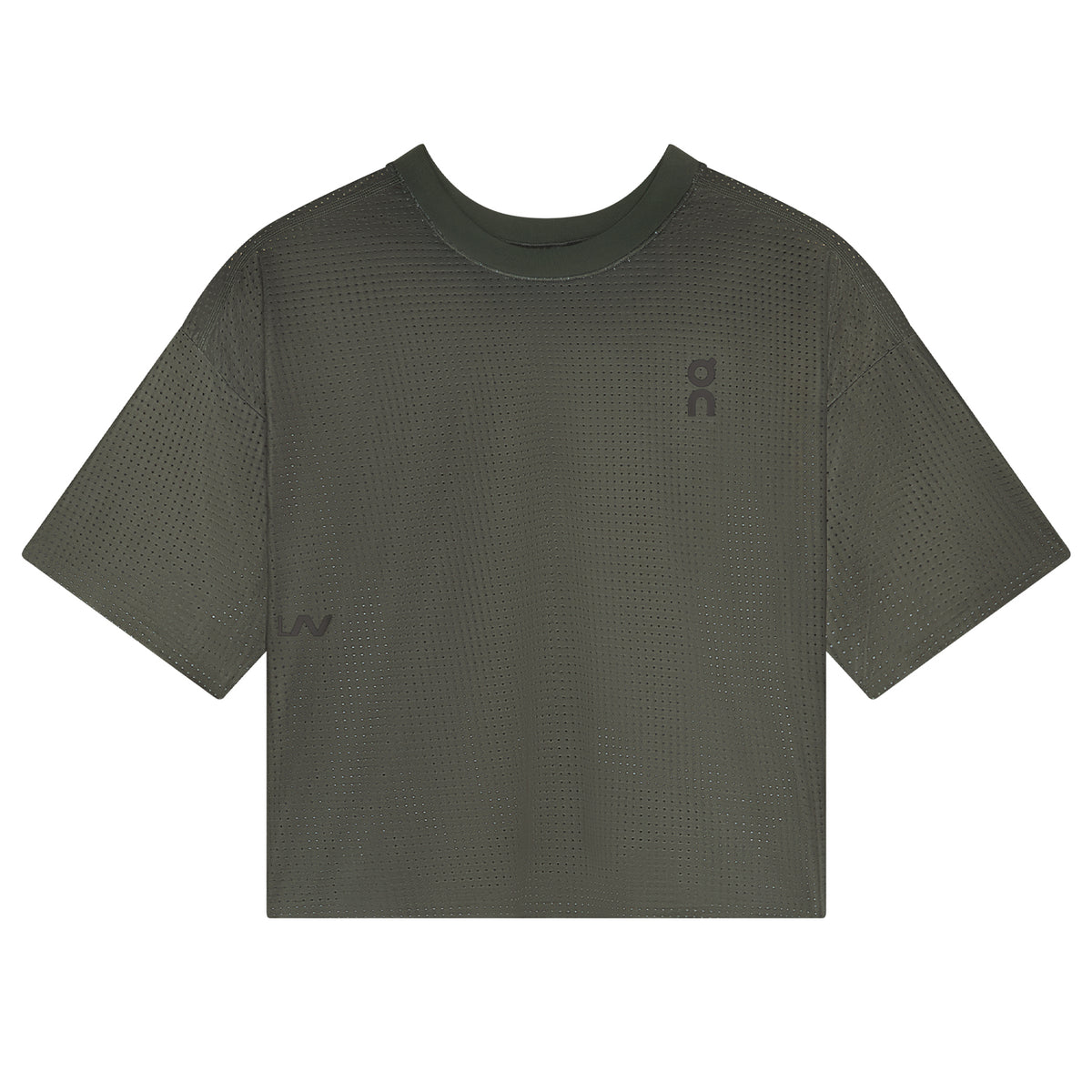 Cropped Run-T LN1 Mire