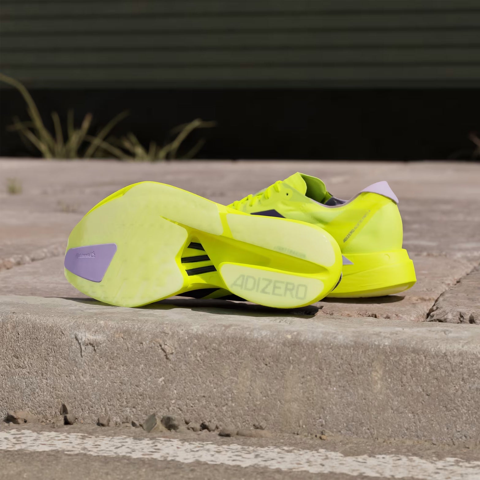 Men's Adizero Adios Pro 4 Running Shoes Solar Yellow / Aurora Plum / Powder Plum - Achilles Heel