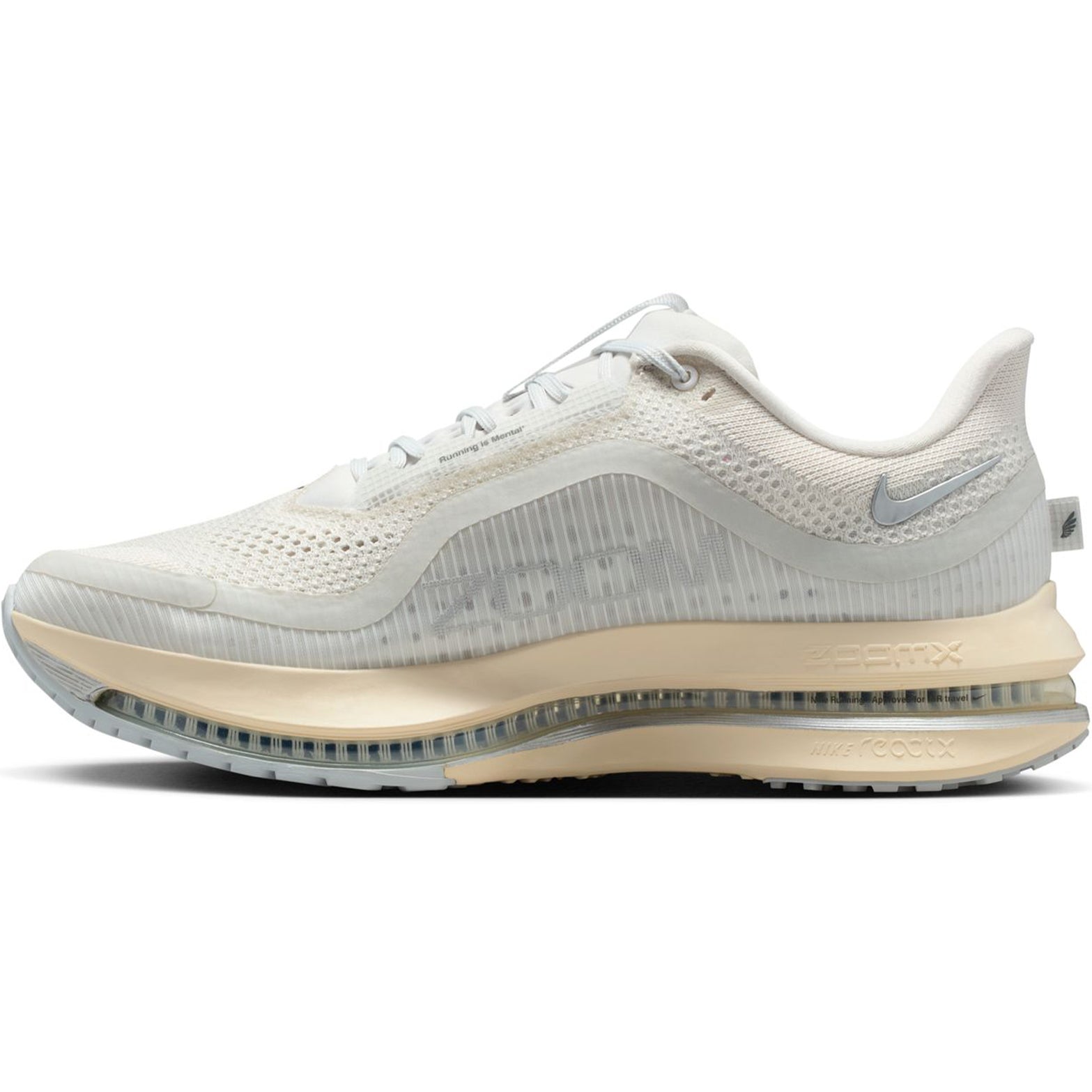 Men's Pegasus Premium Running Shoes Platinum Tint / Grey Fog / Reflect Silver - Achilles Heel
