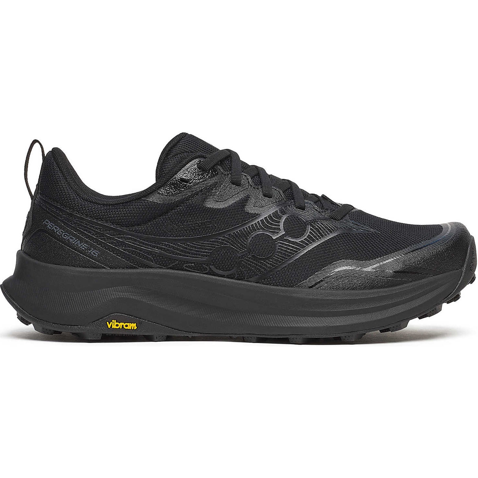 Men's Peregrine 16 GORE-TEX Trail Running Shoes Triple Black - Achilles Heel