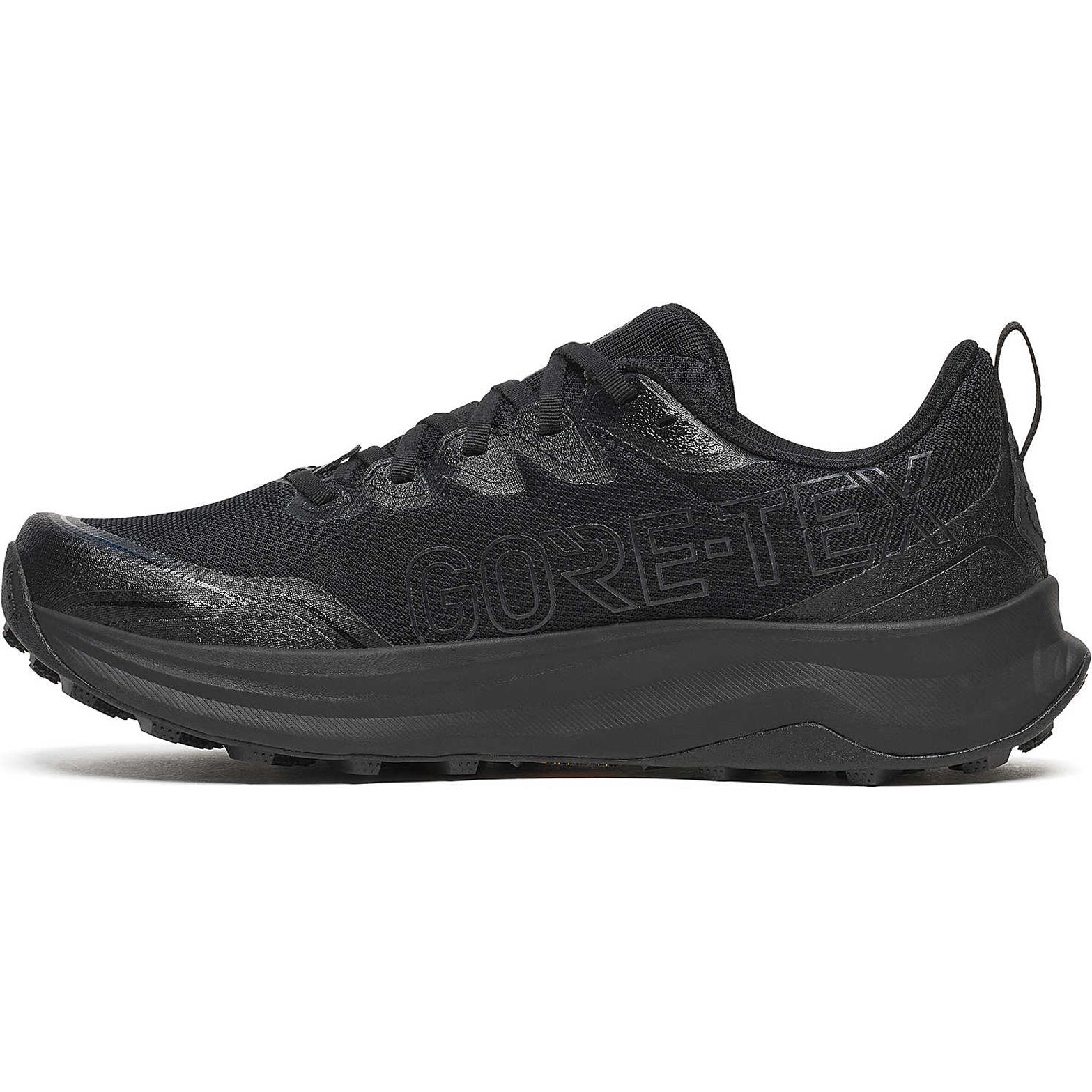 Men's Peregrine 16 GORE-TEX Trail Running Shoes Triple Black - Achilles Heel