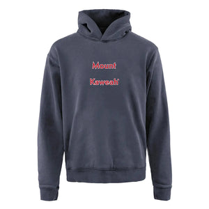 District Vision California Cotton Hoodie Washed Navy - achilles heel