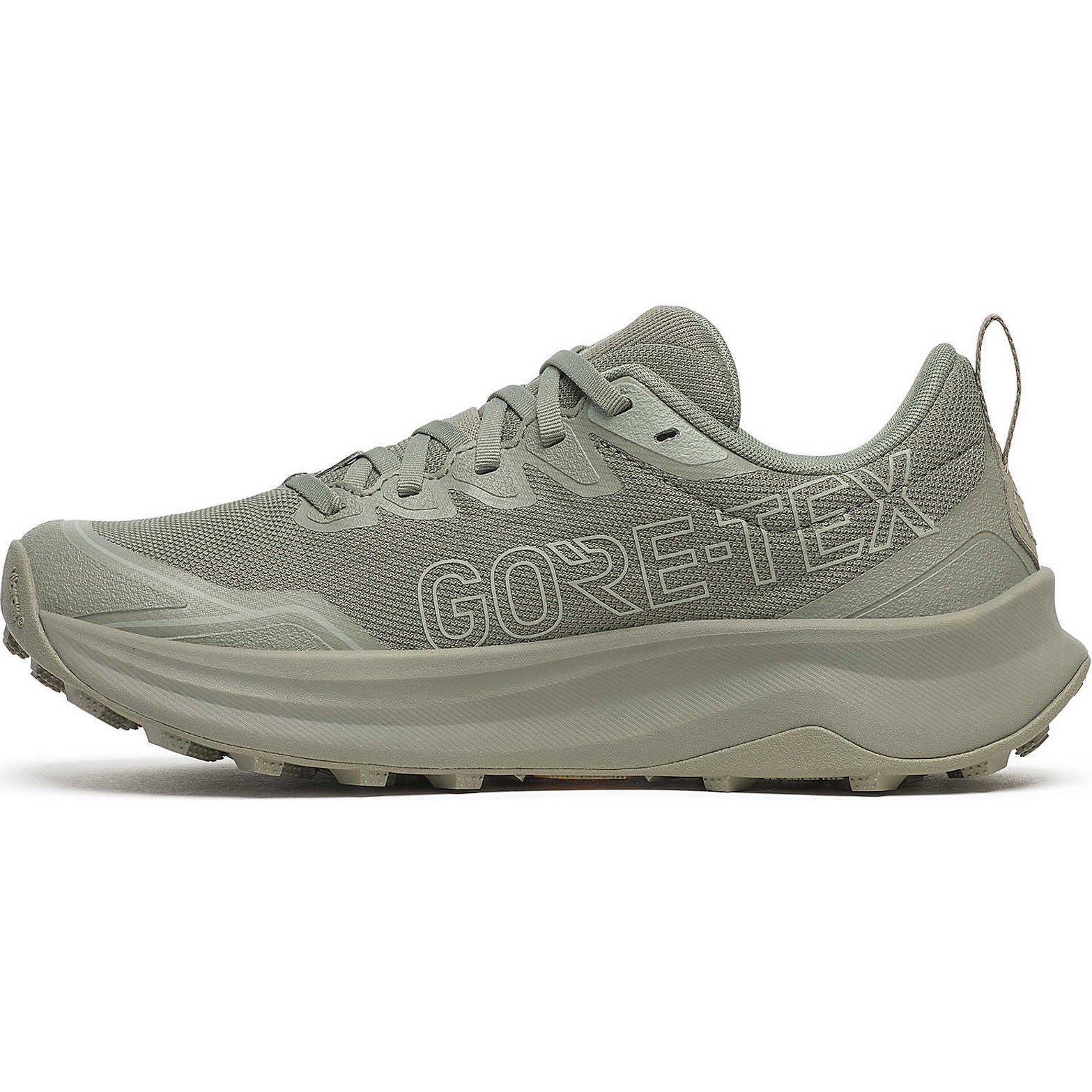 Women's Peregrine 16 GORE-TEX Trail Running Shoes Laurel / Sage - Achilles Heel