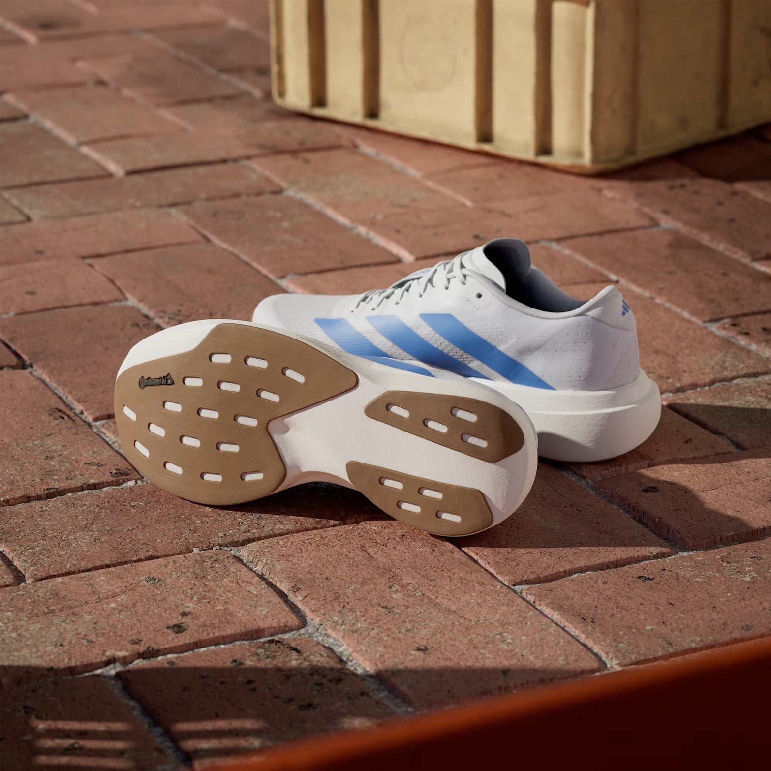 Women's Adizero EVO SL Running Shoes Cloud White / Blue Fusion / Off White - Achilles Heel